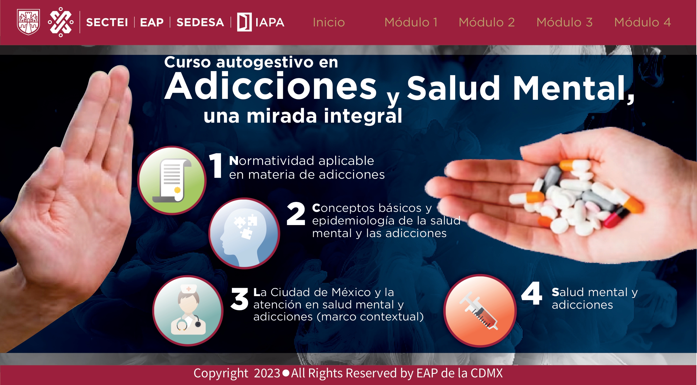 Curso Autogestivo en Adicciones y Salud Mental, una mirada integral  ( COLBACH _G1) (2024)